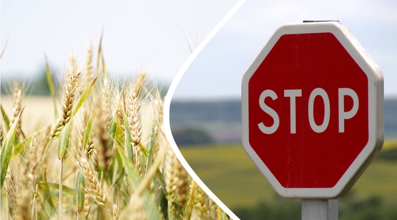 Запрет на зерно из России и Беларуси