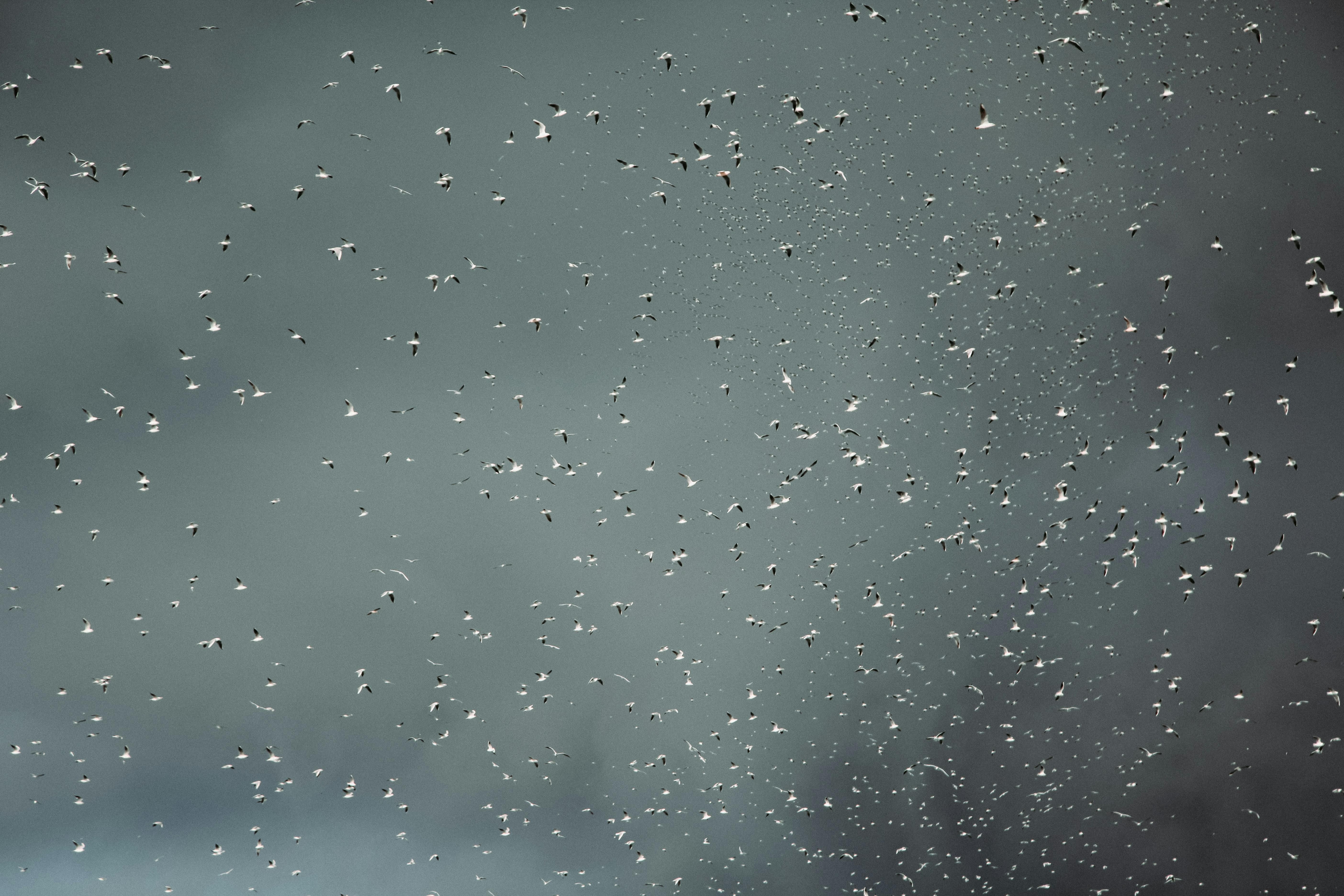 Прогноз погоды на 20 марта - 24 Канал Прогноз погоды на 20 марта - 24 Канал