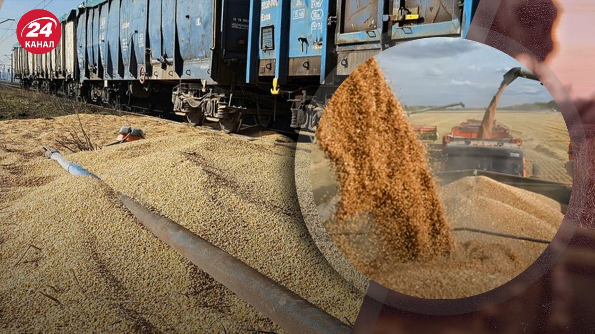 Як розв'язати проблему зернової кризи