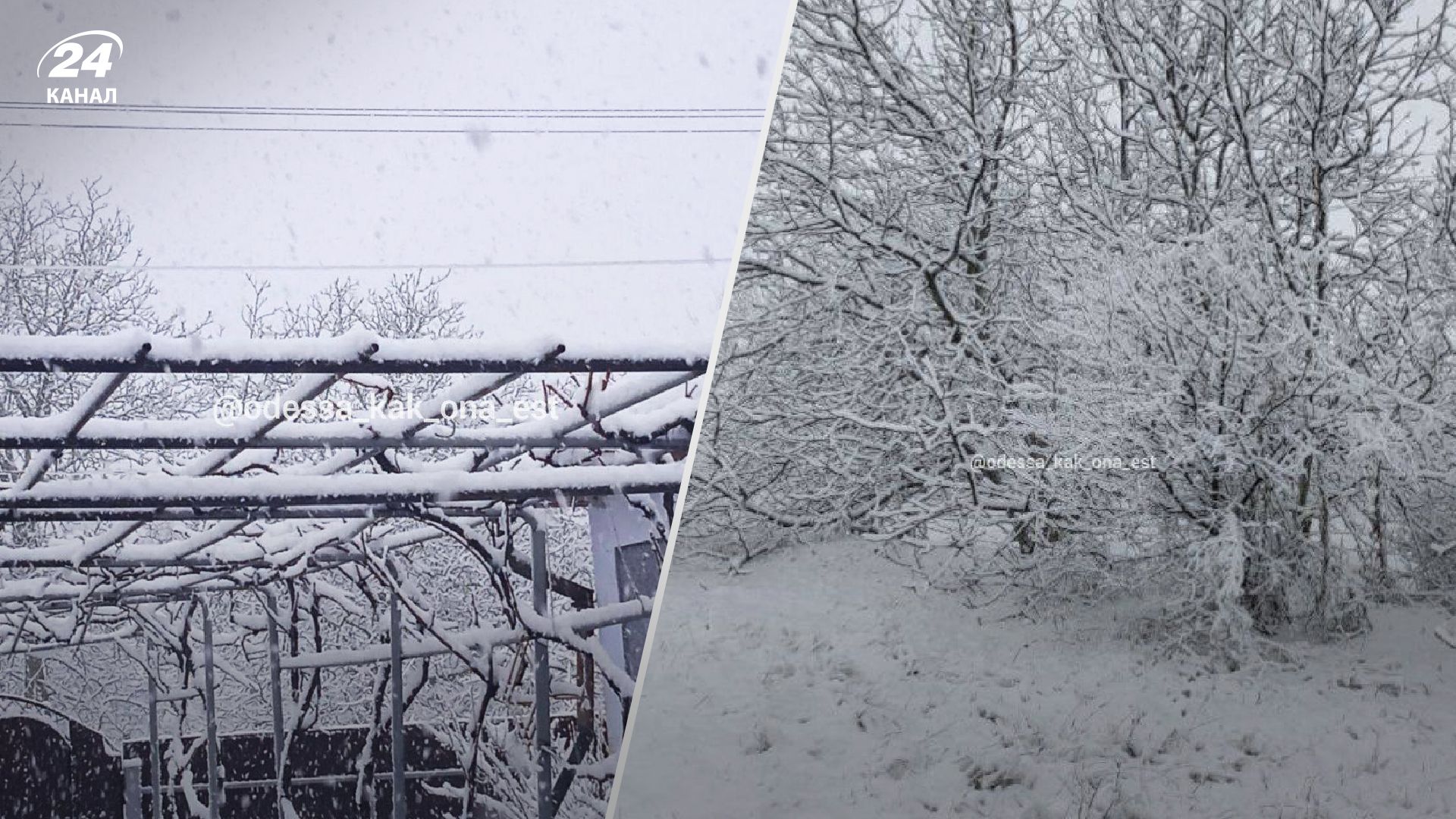 На Одещині справжня зима: на дорогах довелось залучити спецтехніку - 24 Канал