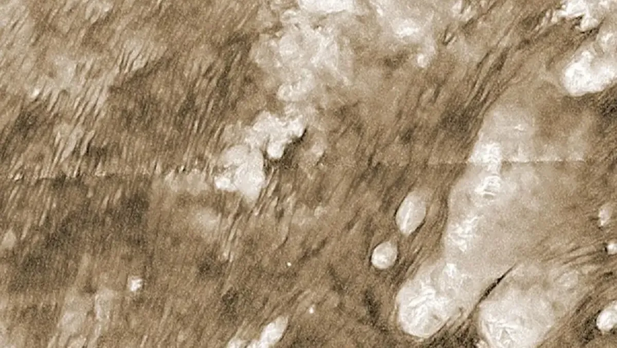 Радарний знімок піщаного моря Шангрі-Ла на Титані