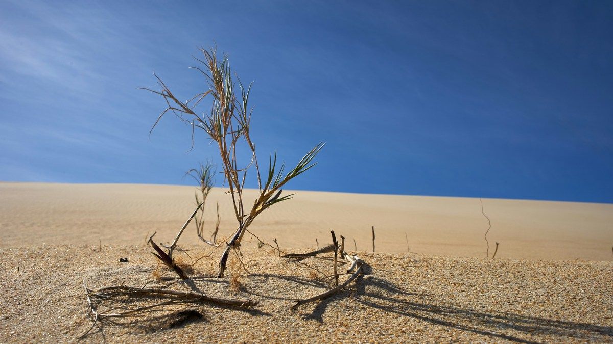 Рекордная жара снова ожидается в мире в 2024 году Рекордная жара снова ожидается в мире в 2024 году