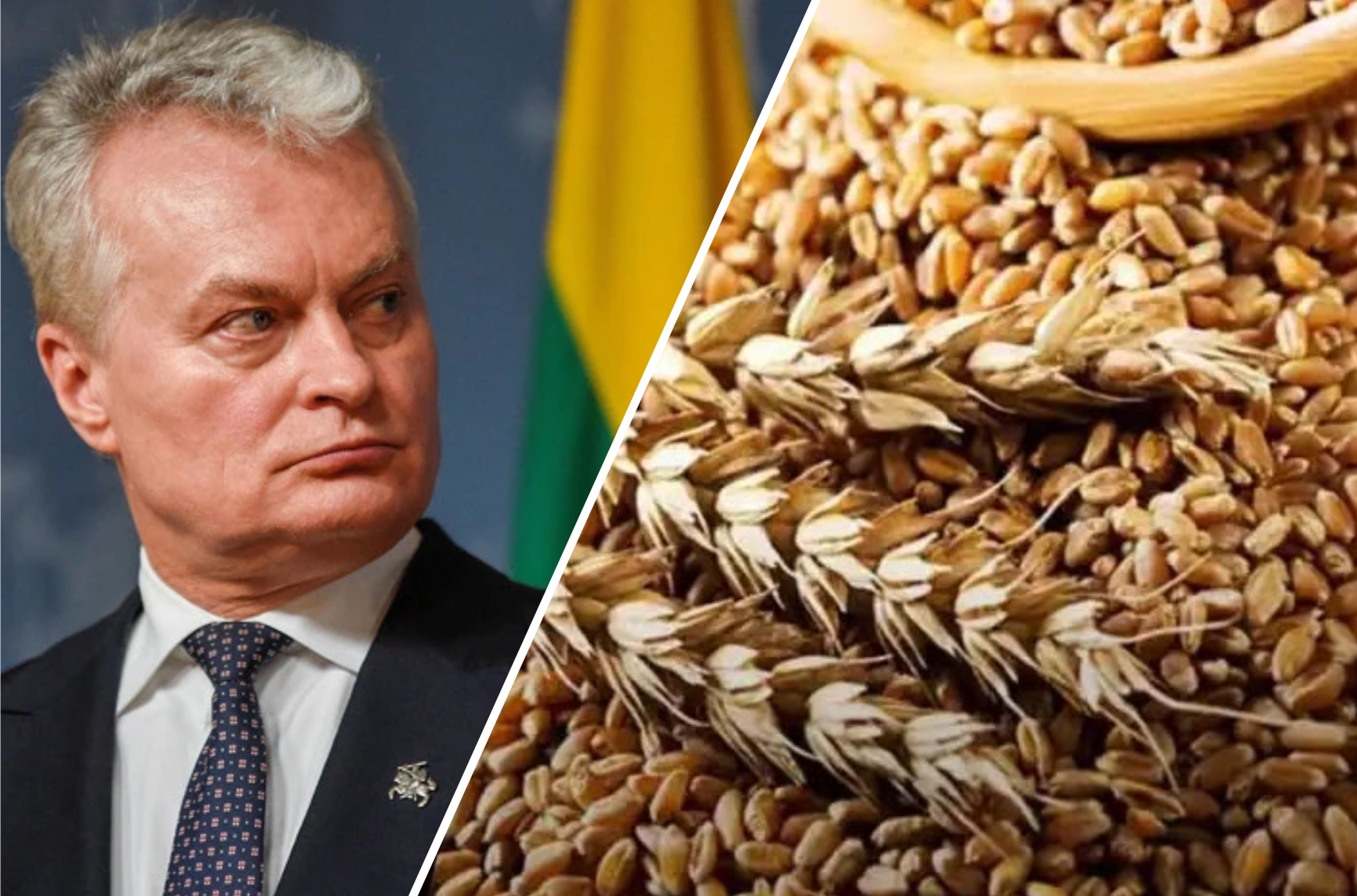 Президент Литвы призвал усилить санкции против России Президент Литвы призвал усилить санкции против России