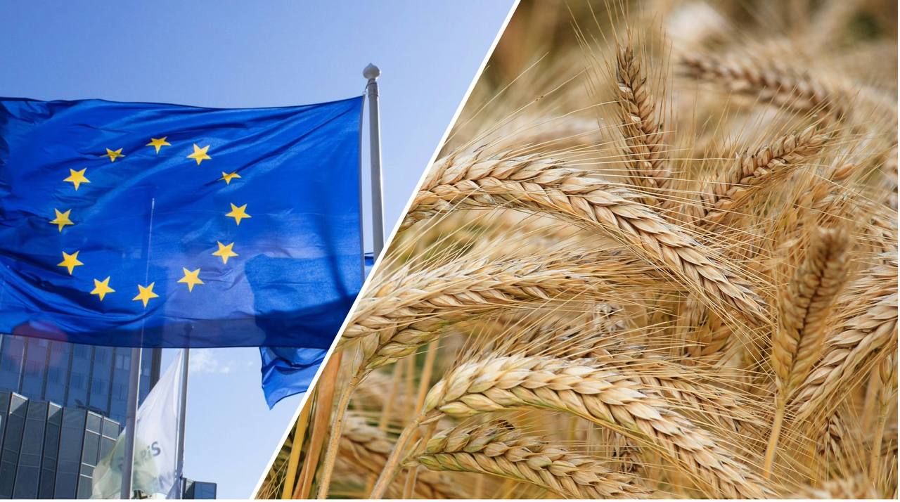 Тарифи на російське зерно від ЄС