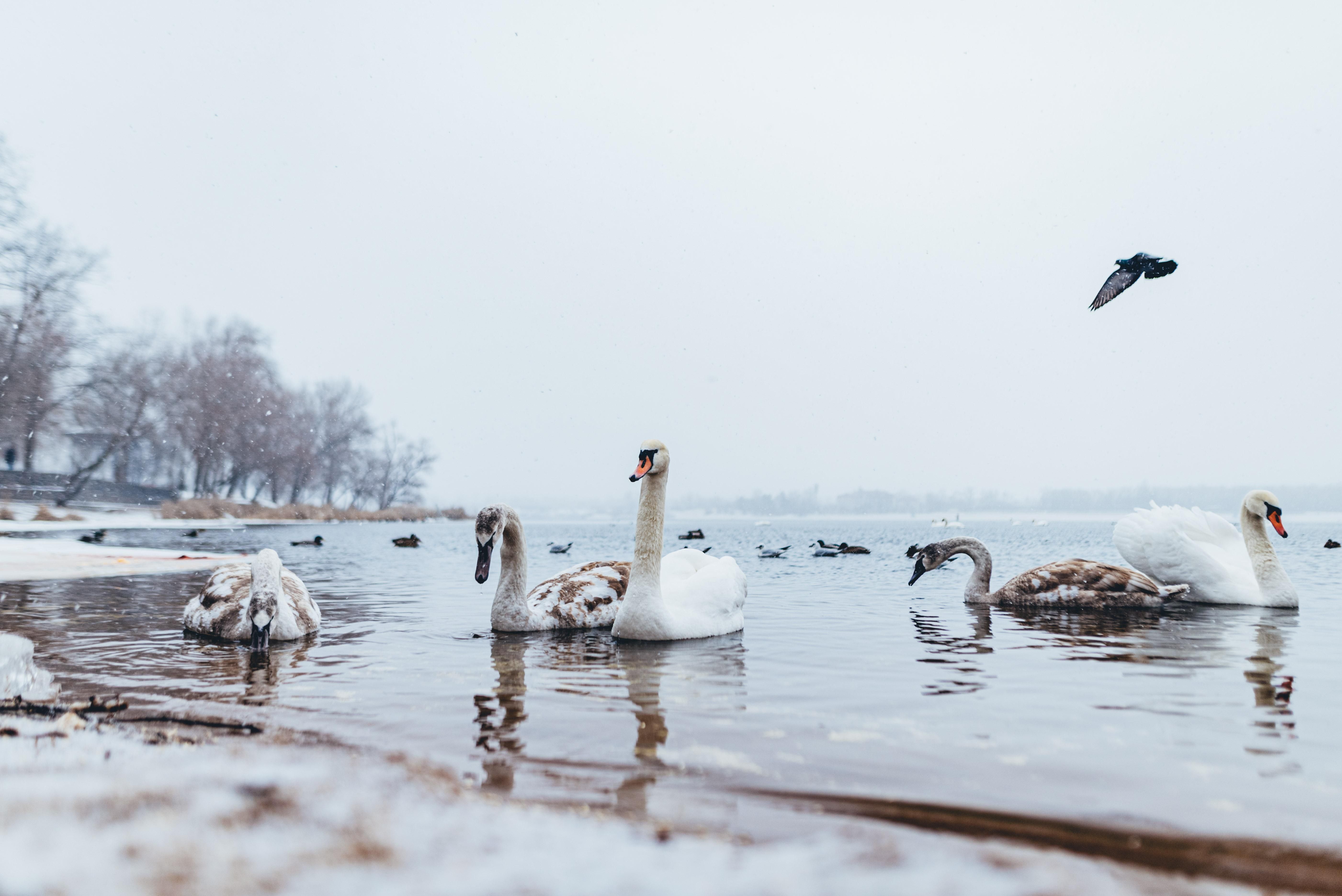 Погода в Украине - 24 Канал Погода в Украине - 24 Канал