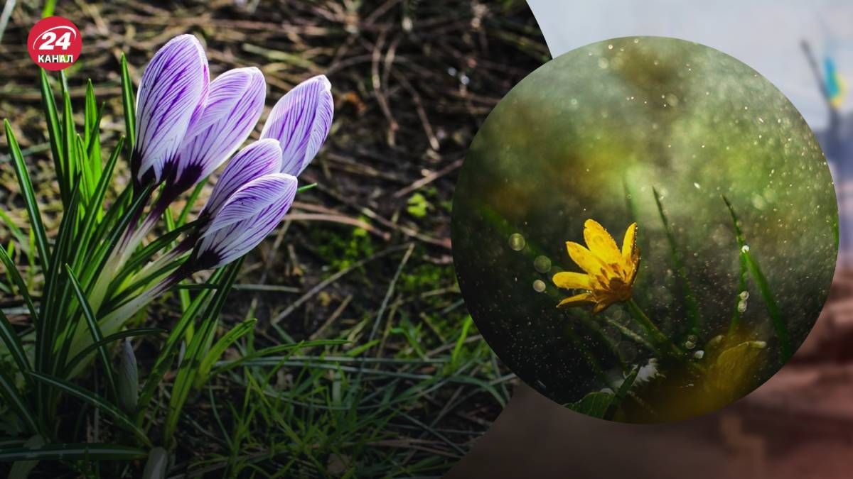 Лише на сході вночі стовпчик термометра опуститься нижче нуля Лише на сході вночі стовпчик термометра опуститься нижче нуля