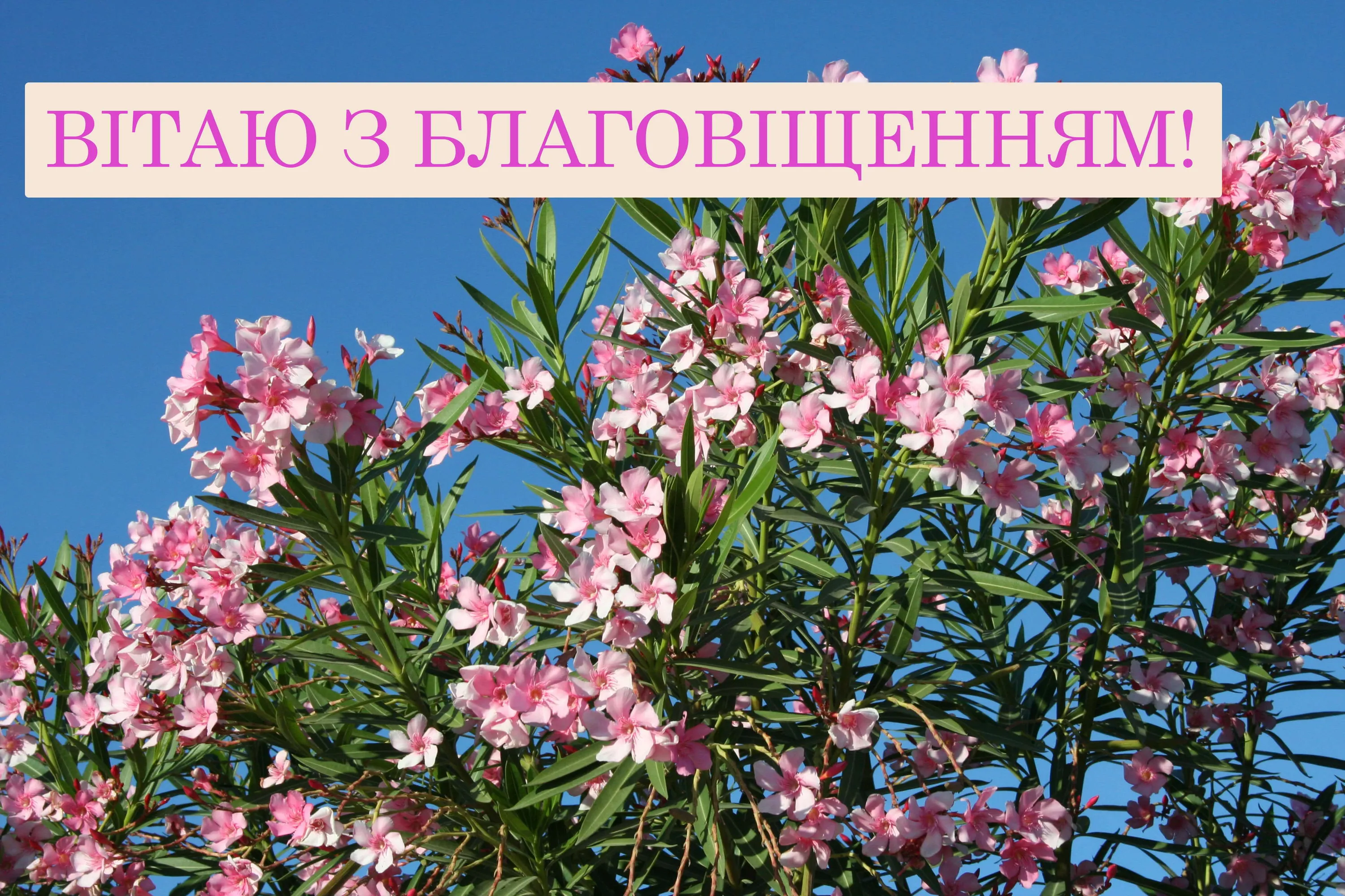 Свято Благовіщення