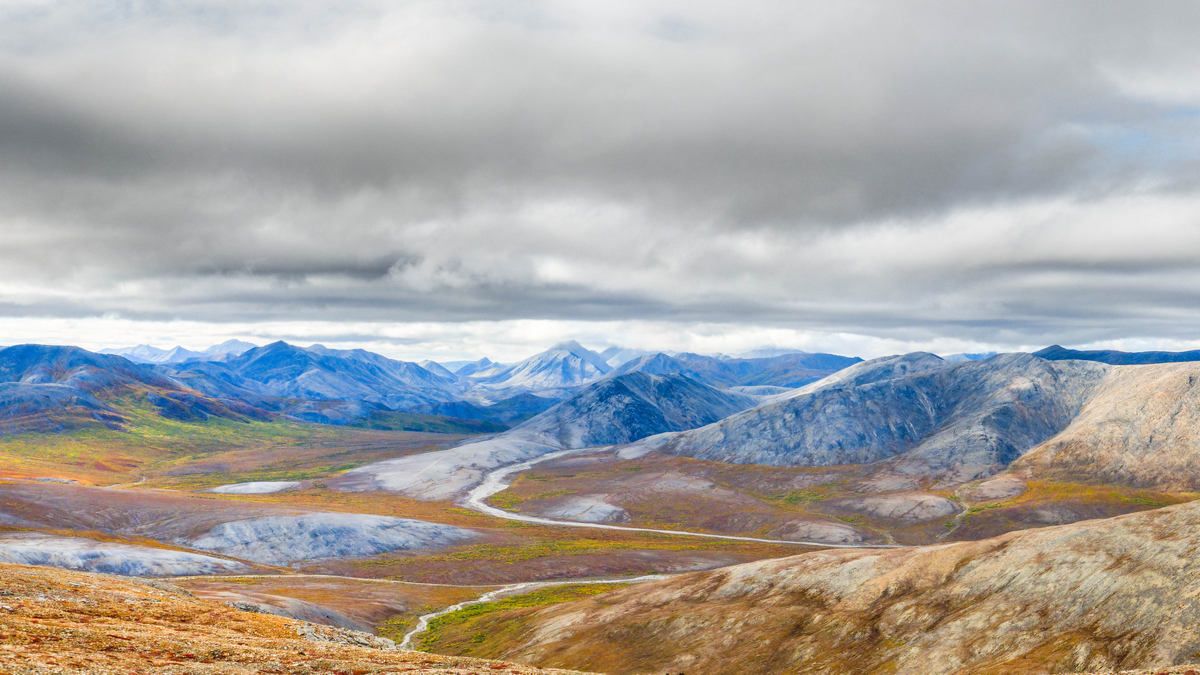 Следы динозавров на Аляске говорят о пышной влажной среде, полной животных и растений Следы динозавров на Аляске говорят о пышной влажной среде, полной животных и растений