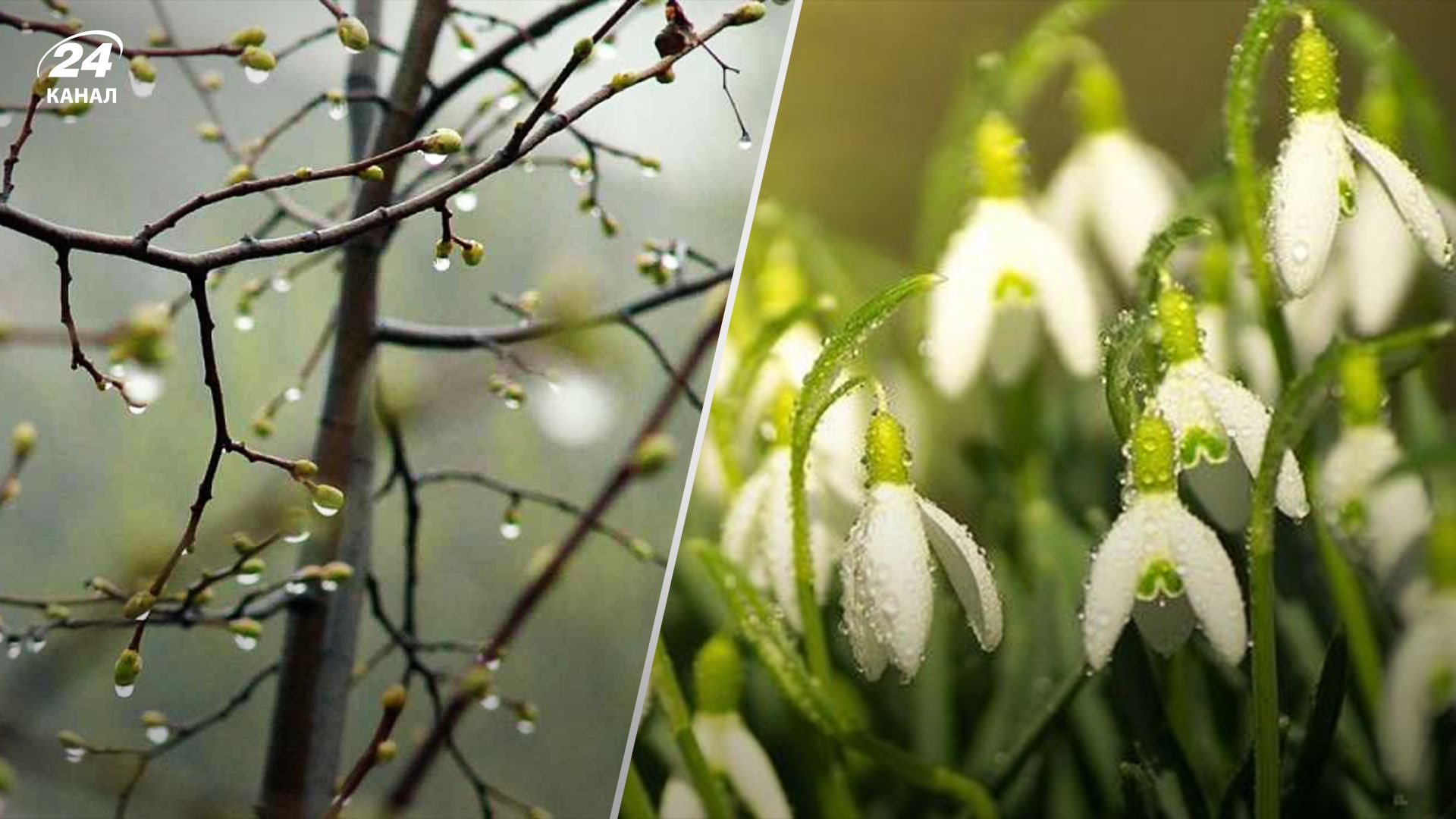 Прогноз погоды в Украине 26 марта Прогноз погоды в Украине 26 марта