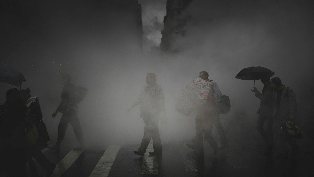 Положительные эффекты, которые вызвала пандемия в дикой природе, быстро развеялись Положительные эффекты, которые вызвала пандемия в дикой природе, быстро развеялись