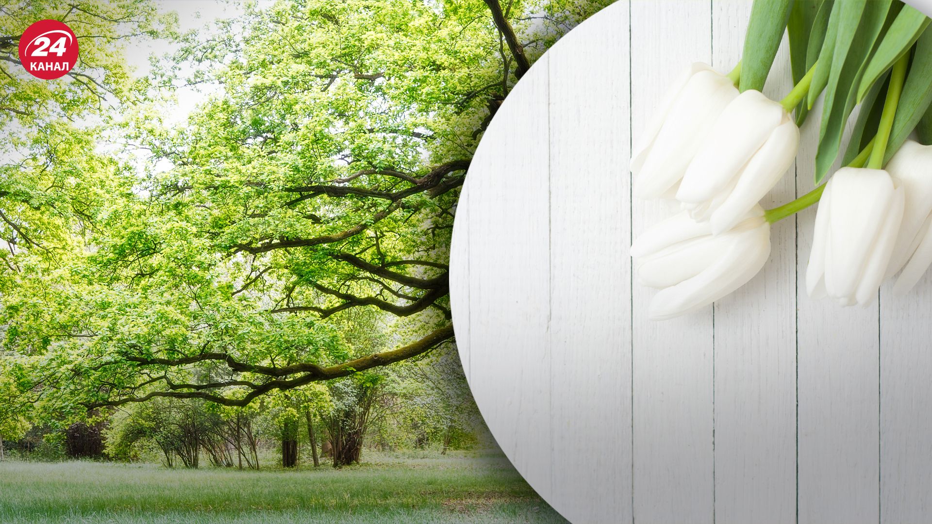 Прогноз погоды на 26 марта Прогноз погоды на 26 марта