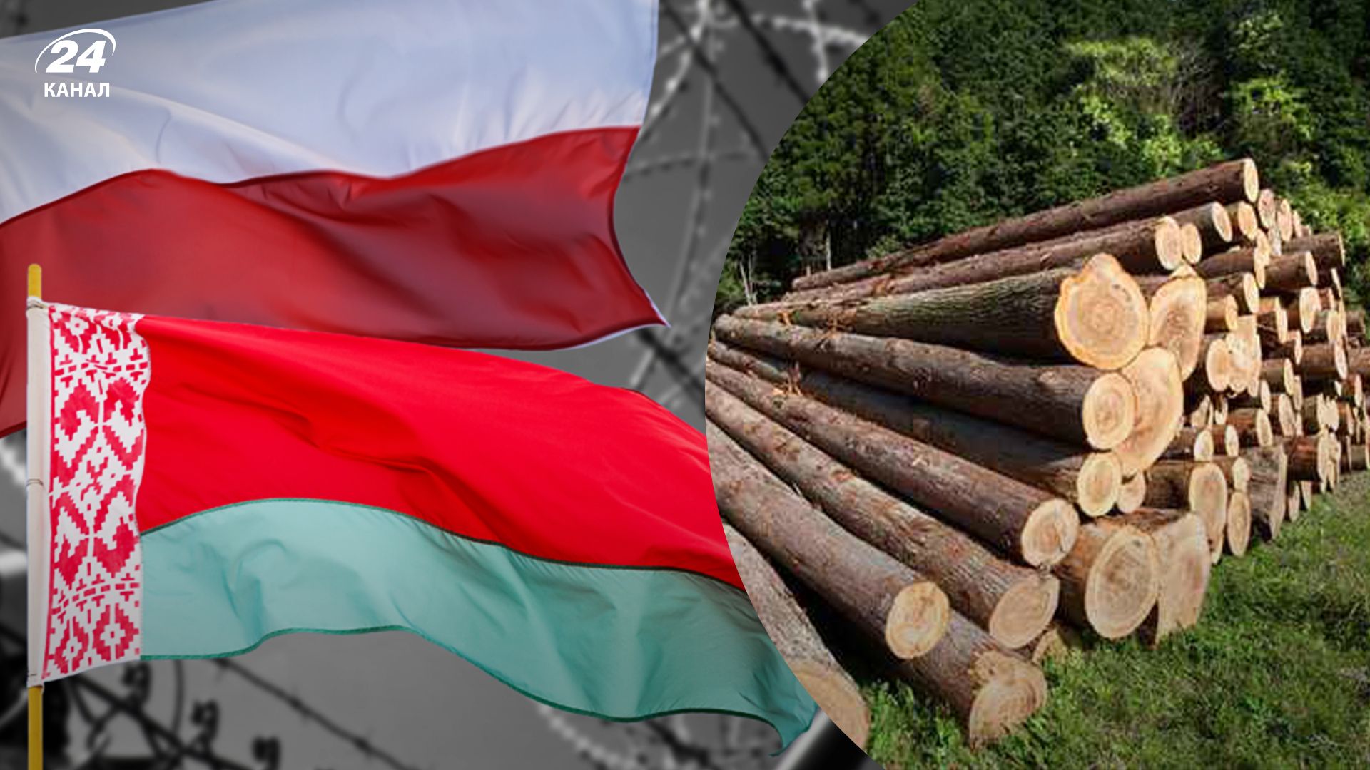Подсанкционная белорусская древесина попадает в ЕС через Польшу