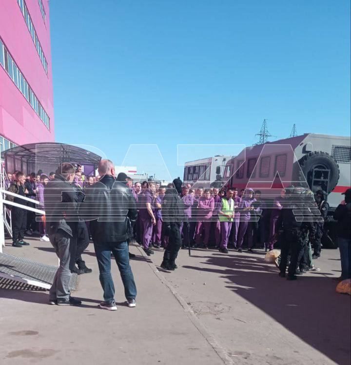 Рейд силовиків на складі Wildberries