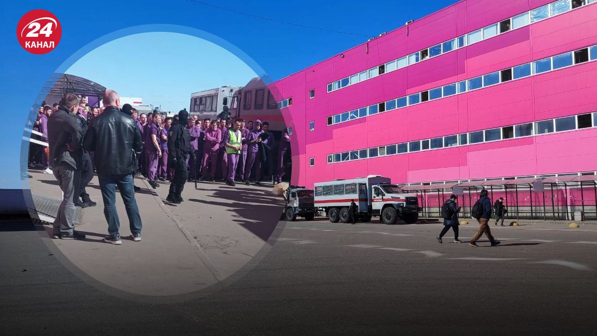 На складе Wildberries в Подмосковье устроили рейд на тредовых мигрантов На складе Wildberries в Подмосковье устроили рейд на тредовых мигрантов