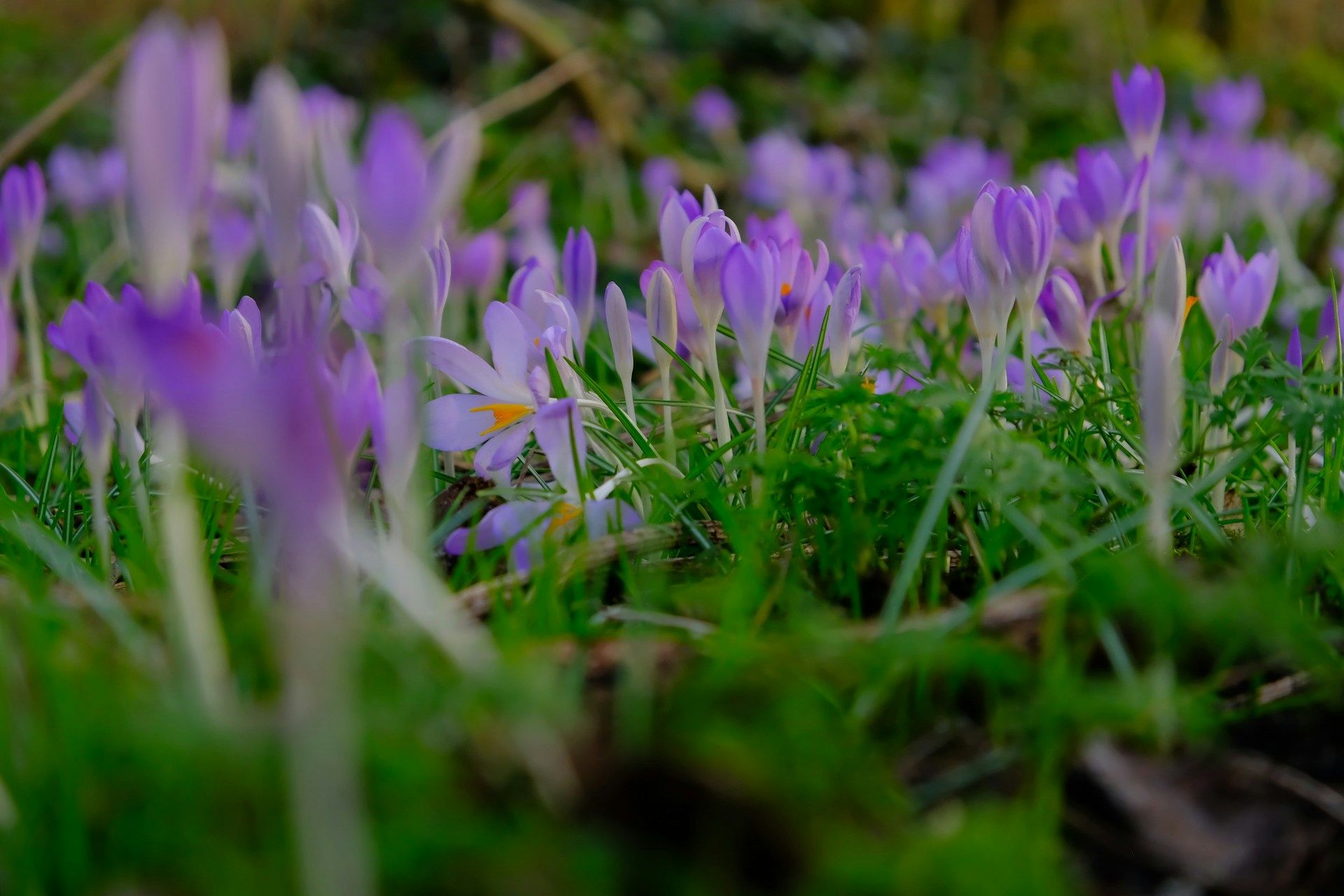 Прогноз погоди на 28 березня 2024 Прогноз погоди на 28 березня 2024