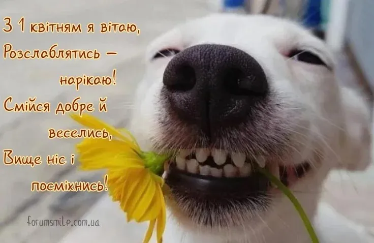 День смеха 2024 День смеха 2024