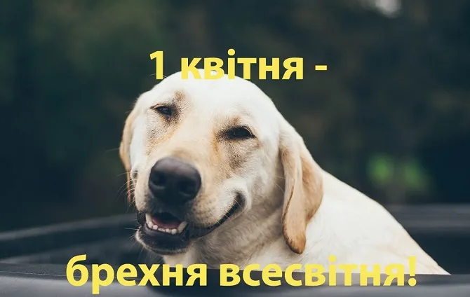 День смеха 2024 День смеха 2024