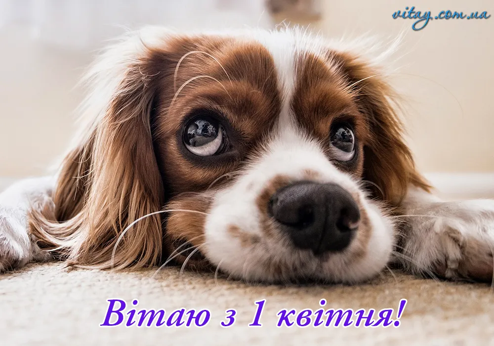 День смеха 2024 День смеха 2024