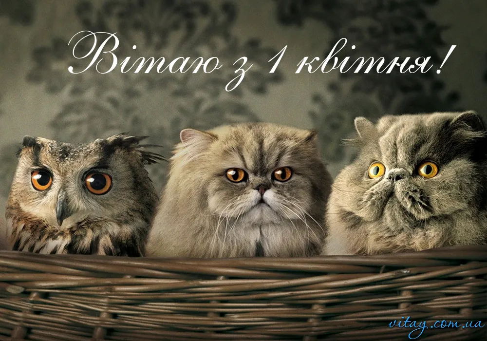 День смеха 2024 День смеха 2024