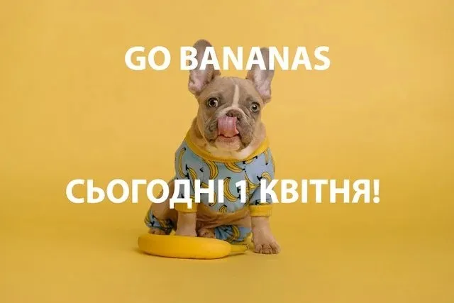 День смеха 2024 День смеха 2024