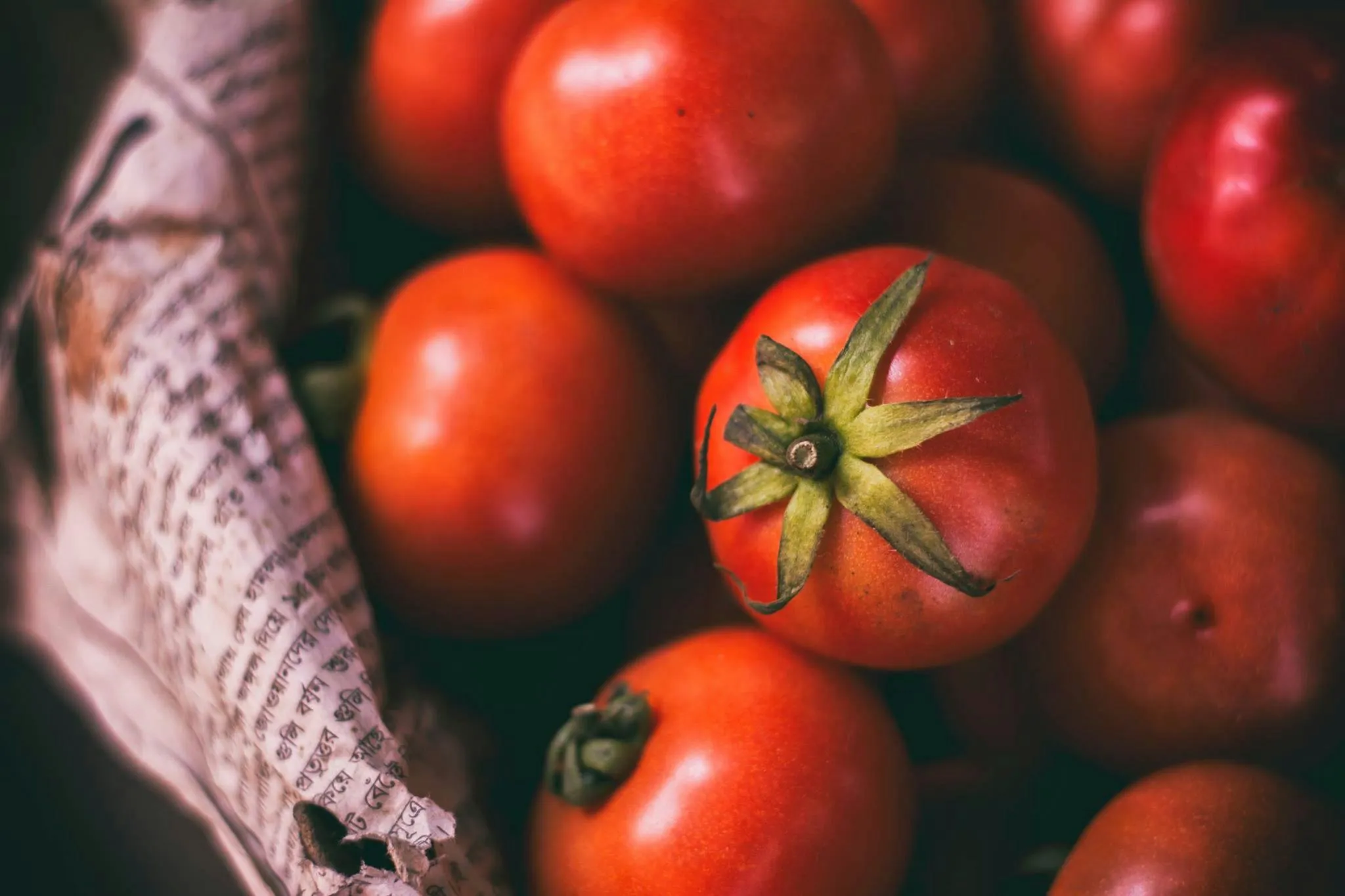 В лунку до помідорів треба поставити 3 добрива 