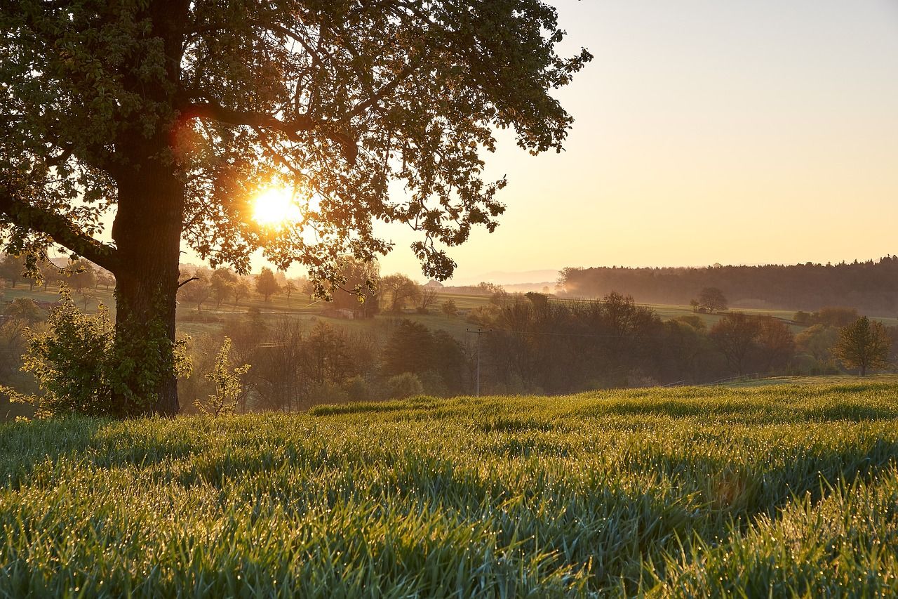 Погода на квітень - 24 Канал Погода на квітень - 24 Канал