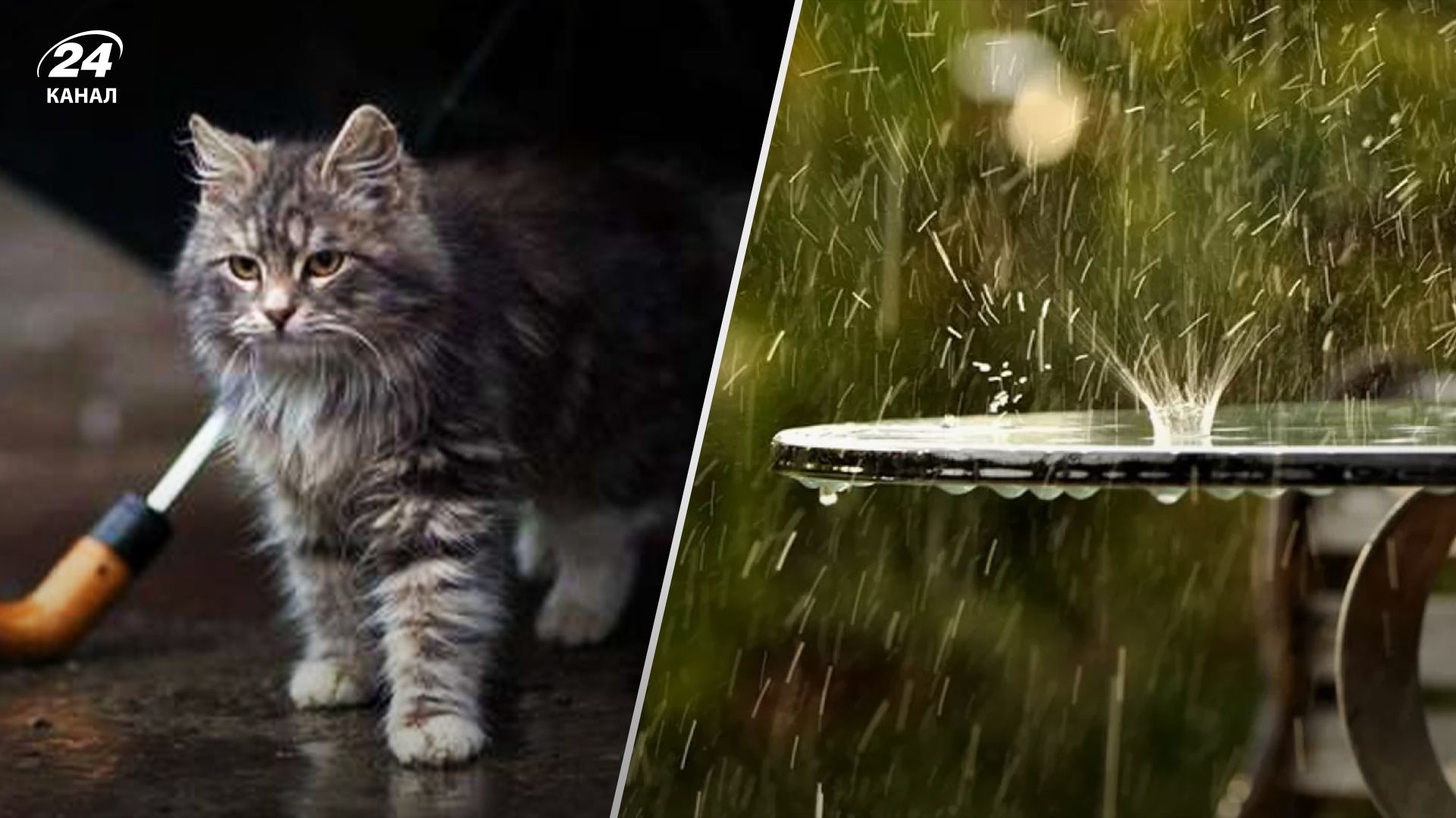 Прогноз погоди в Україні 2 квітня Прогноз погоди в Україні 2 квітня