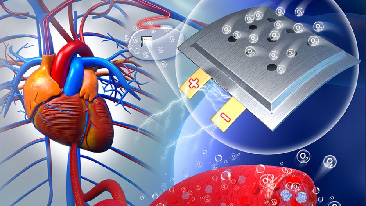 Иллюстративное фото Иллюстративное фото