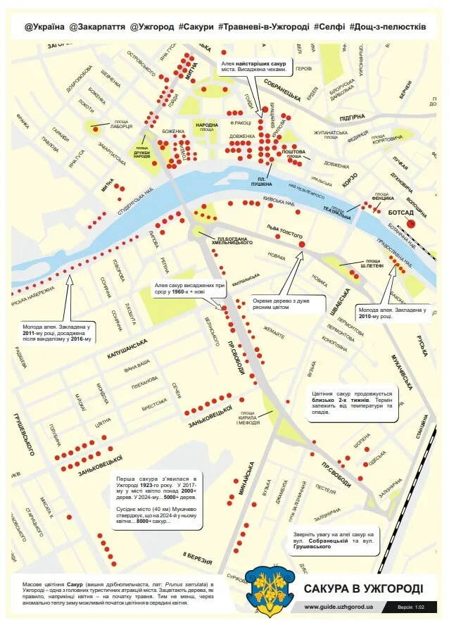 карта цвітіння сакур в Ужгороді українською мовою карта цвітіння сакур в Ужгороді українською мовою