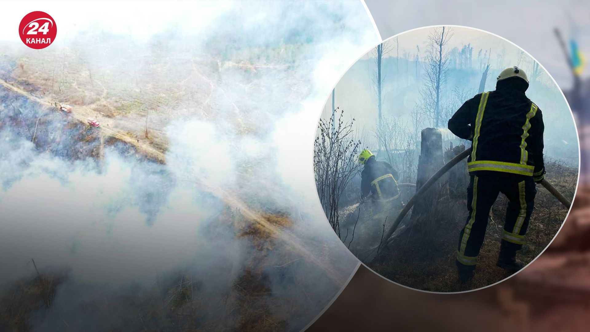 На Закарпатье вспыхнул масштабный пожар в лесном хозяйстве