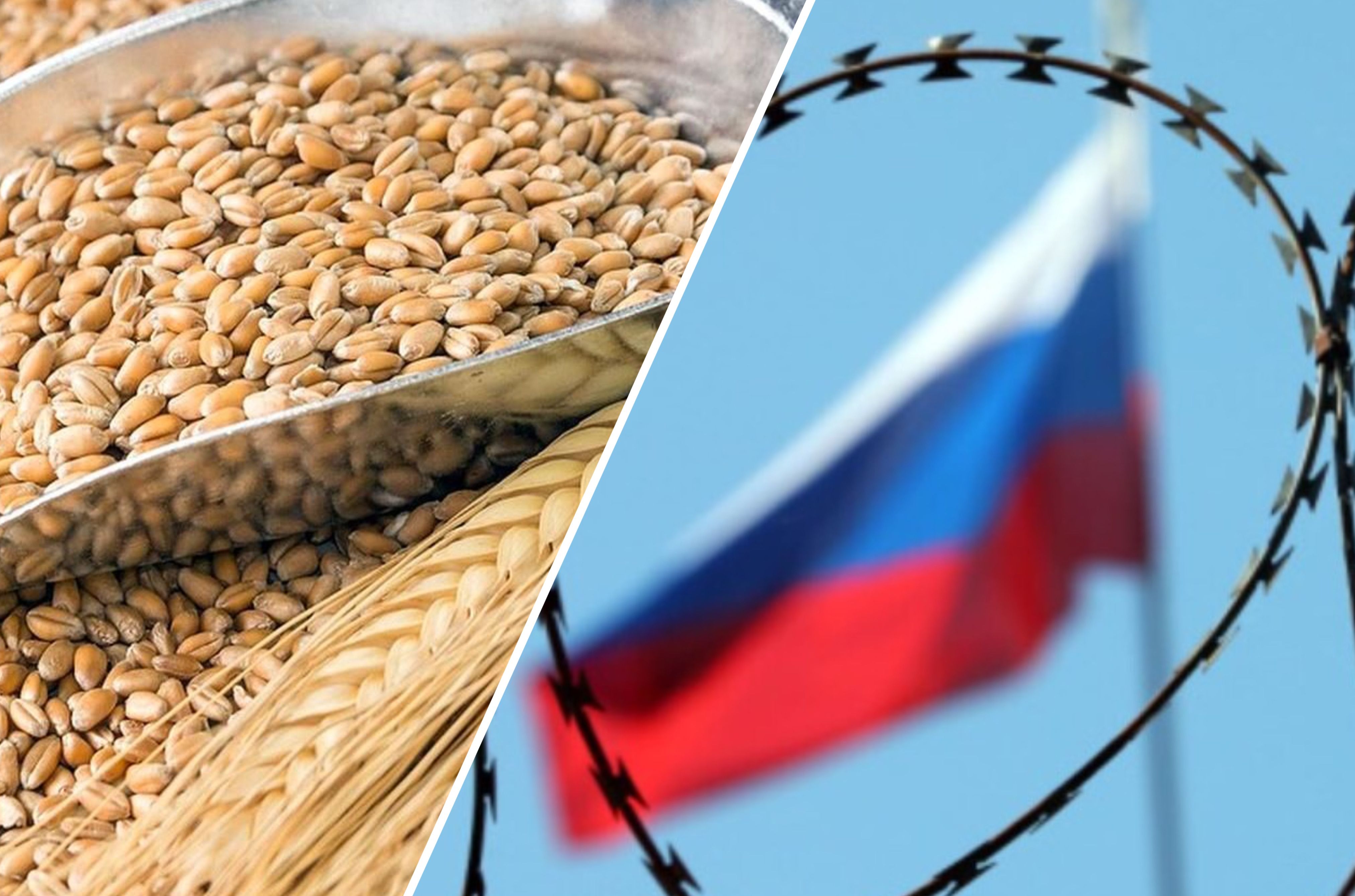 Заборона імпорту збіжжя з Росії та Білорусі