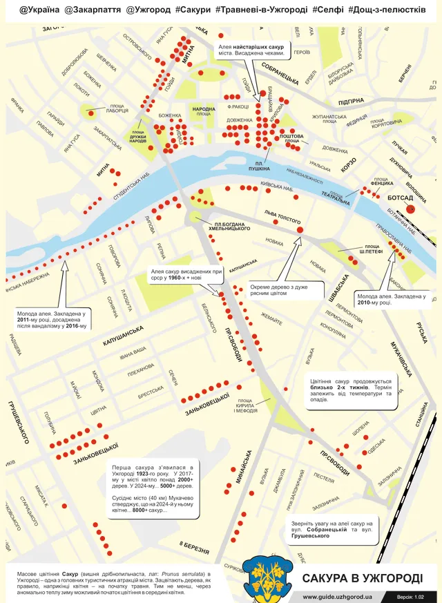 Где в Ужгороде можно посмотреть на сакуры Где в Ужгороде можно посмотреть на сакуры