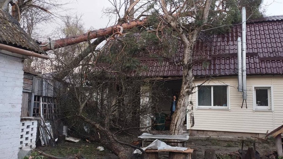 Наслідки бурі на Київщині 2 квітня