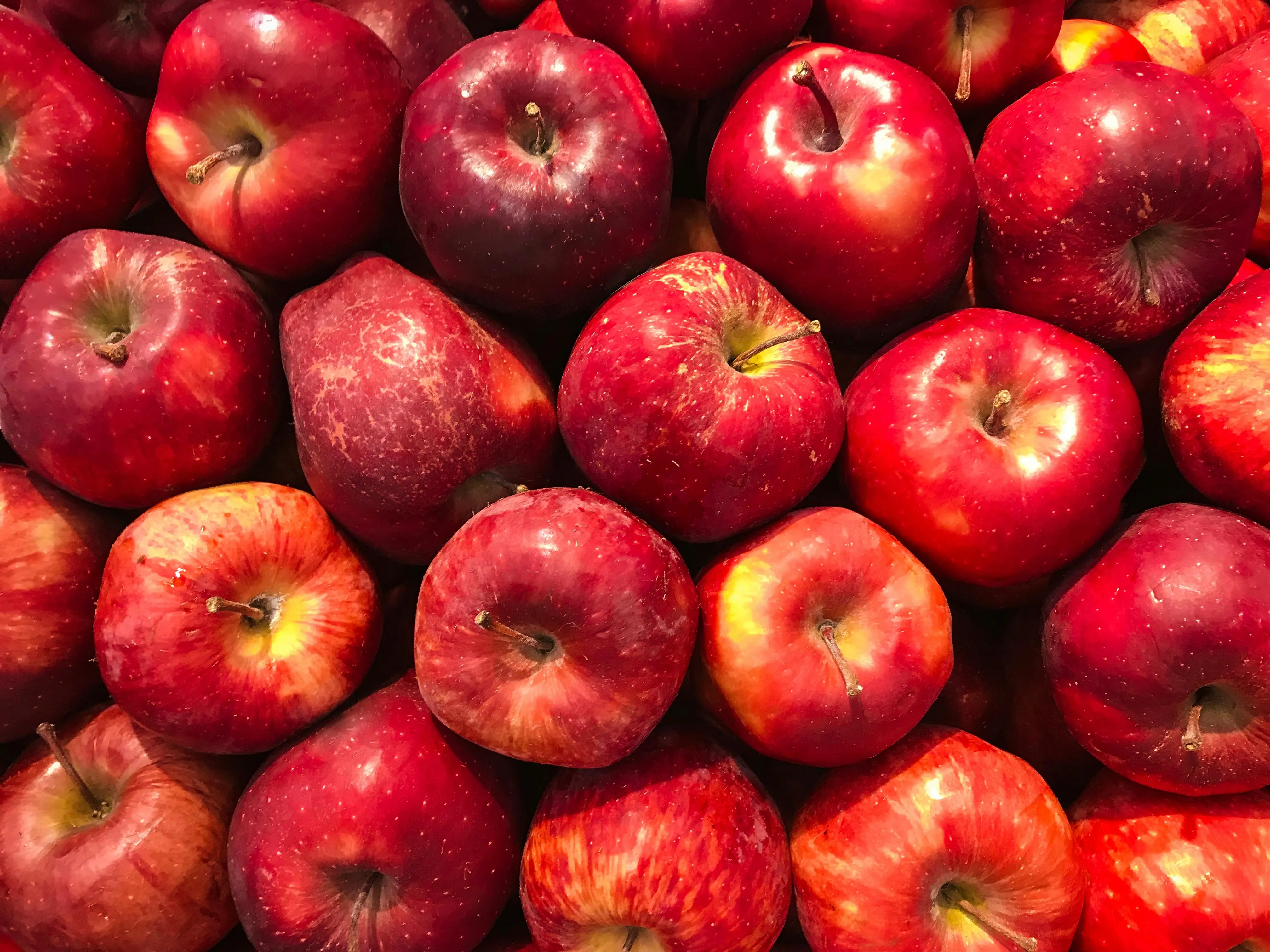 Чтобы яблоки были дольше свежими, их надо правильно хранить