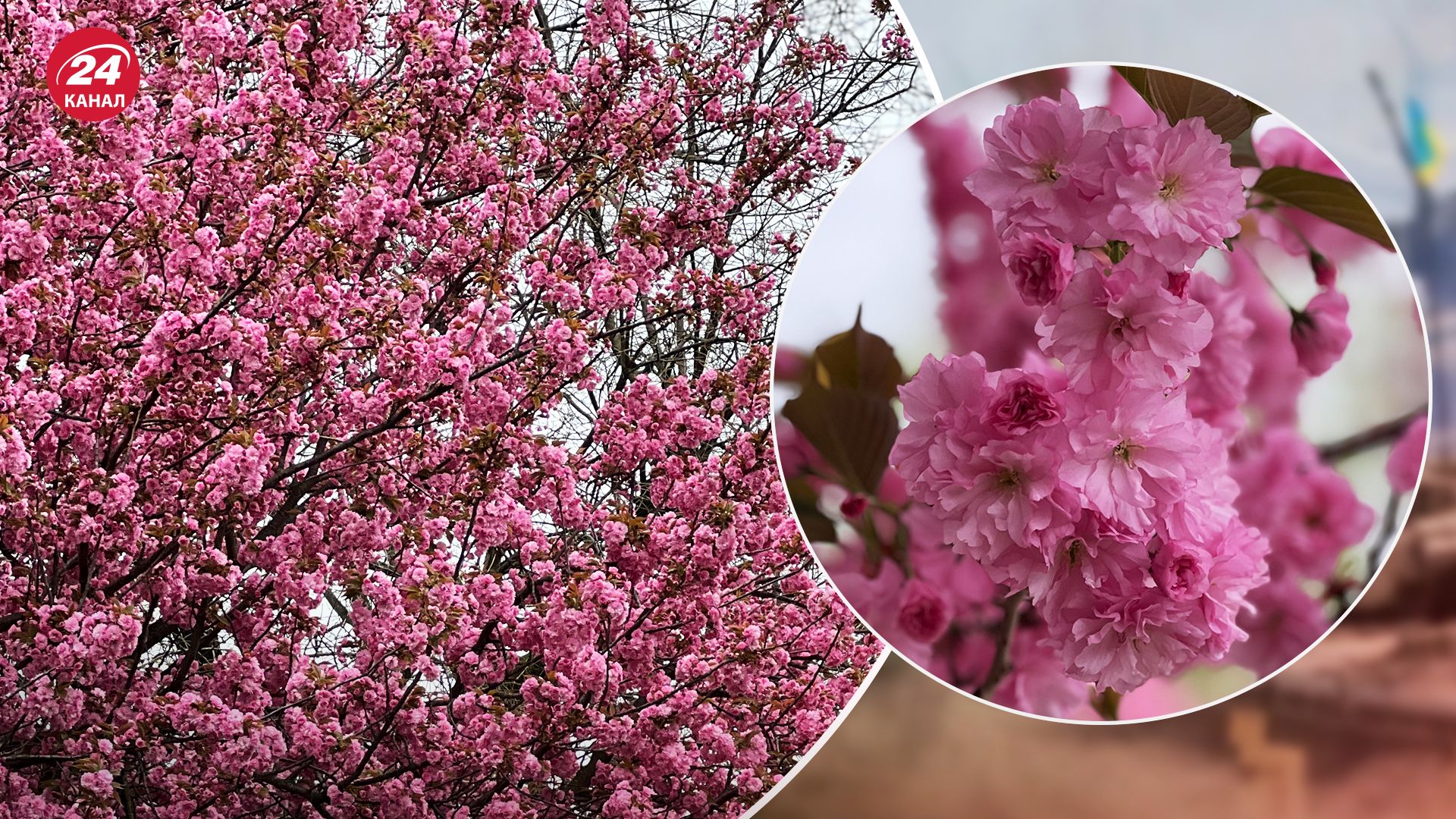 Точний прогноз погоди в Україні на 6 квітня 2024 - майже всюди буде дощ - 24 Канал Точний прогноз погоди в Україні на 6 квітня 2024 - майже всюди буде дощ - 24 Канал