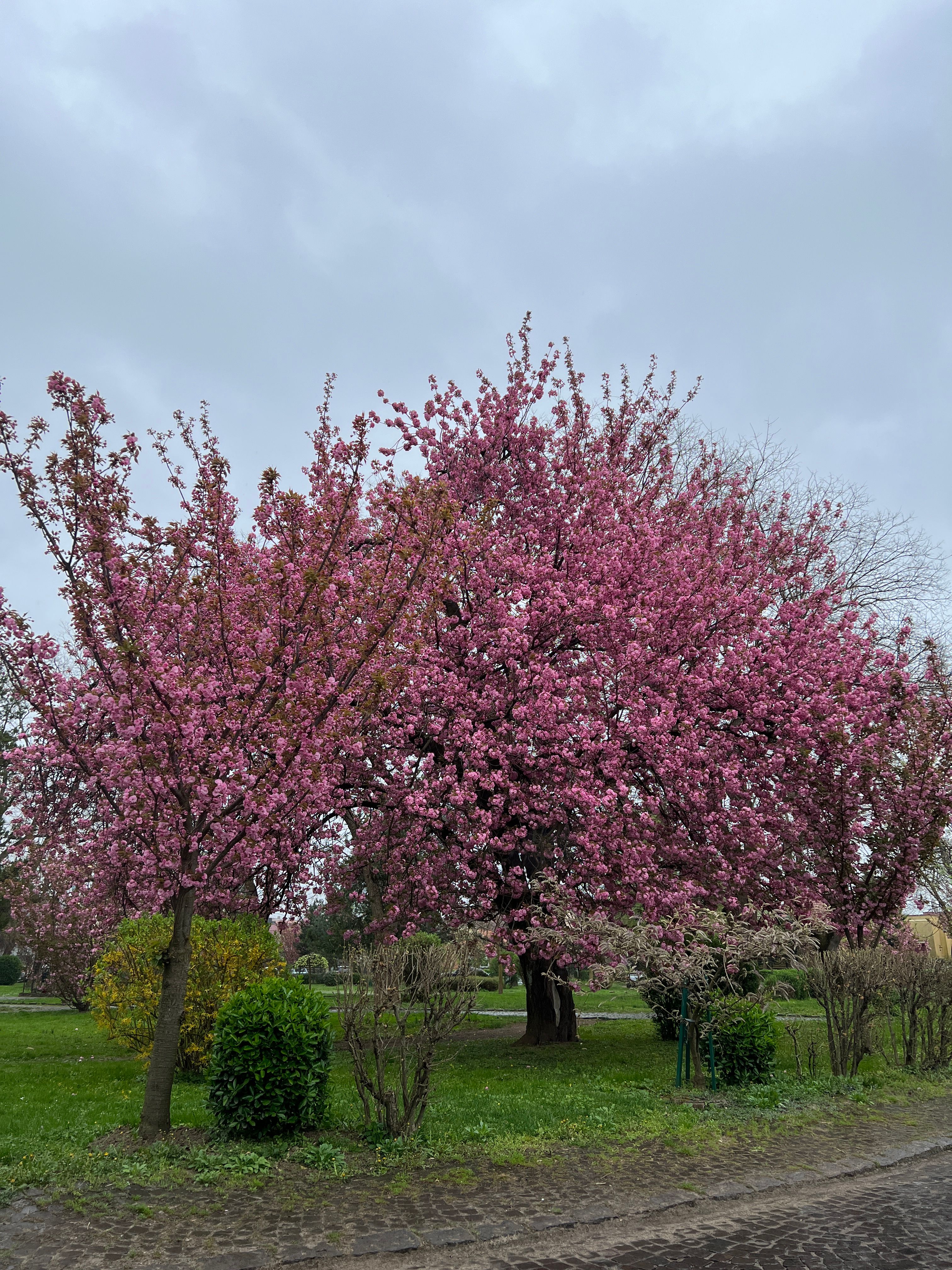 Прогноз погоди в Україні на 7 квітня Прогноз погоди в Україні на 7 квітня