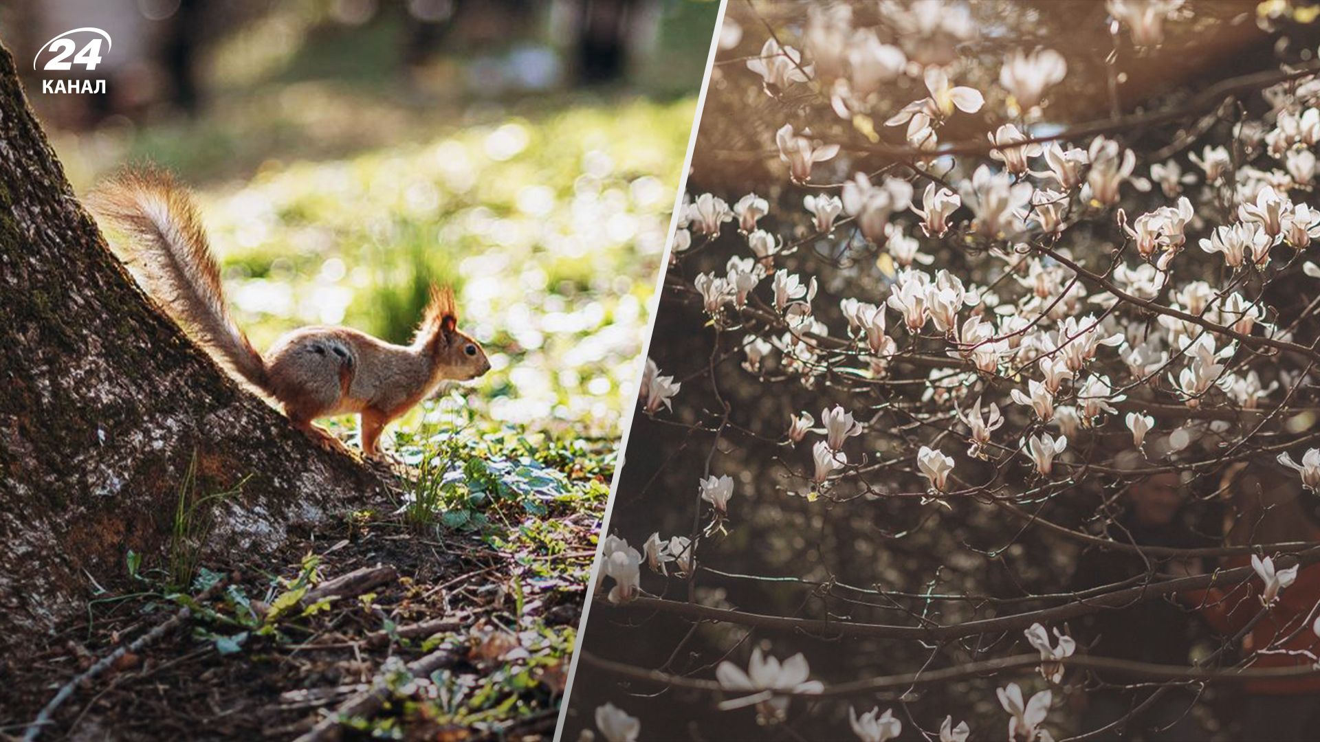 Прогноз погоди в Україні 22 серпня Прогноз погоди в Україні 22 серпня