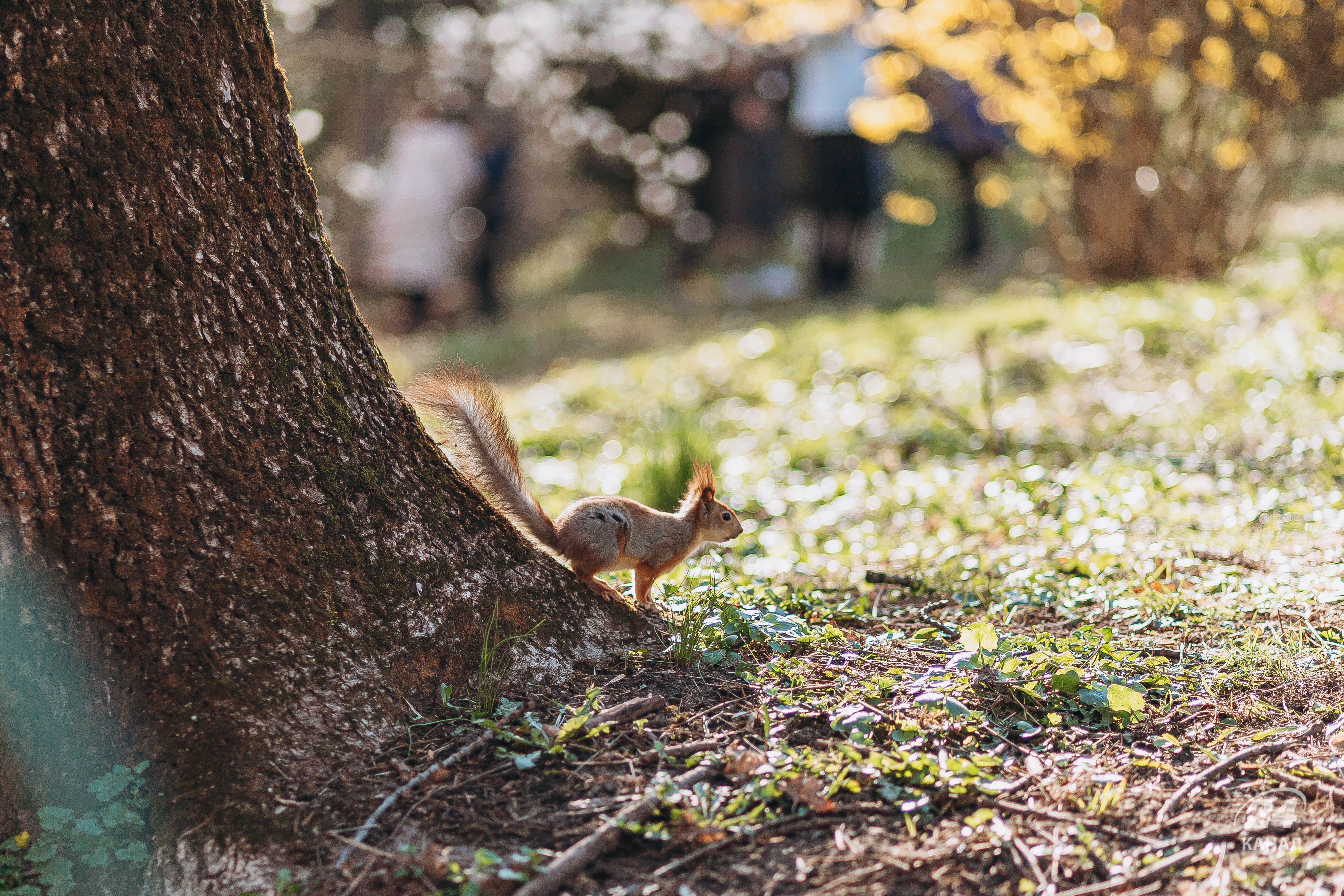 Погода в Украине - 24 Канал Погода в Украине - 24 Канал