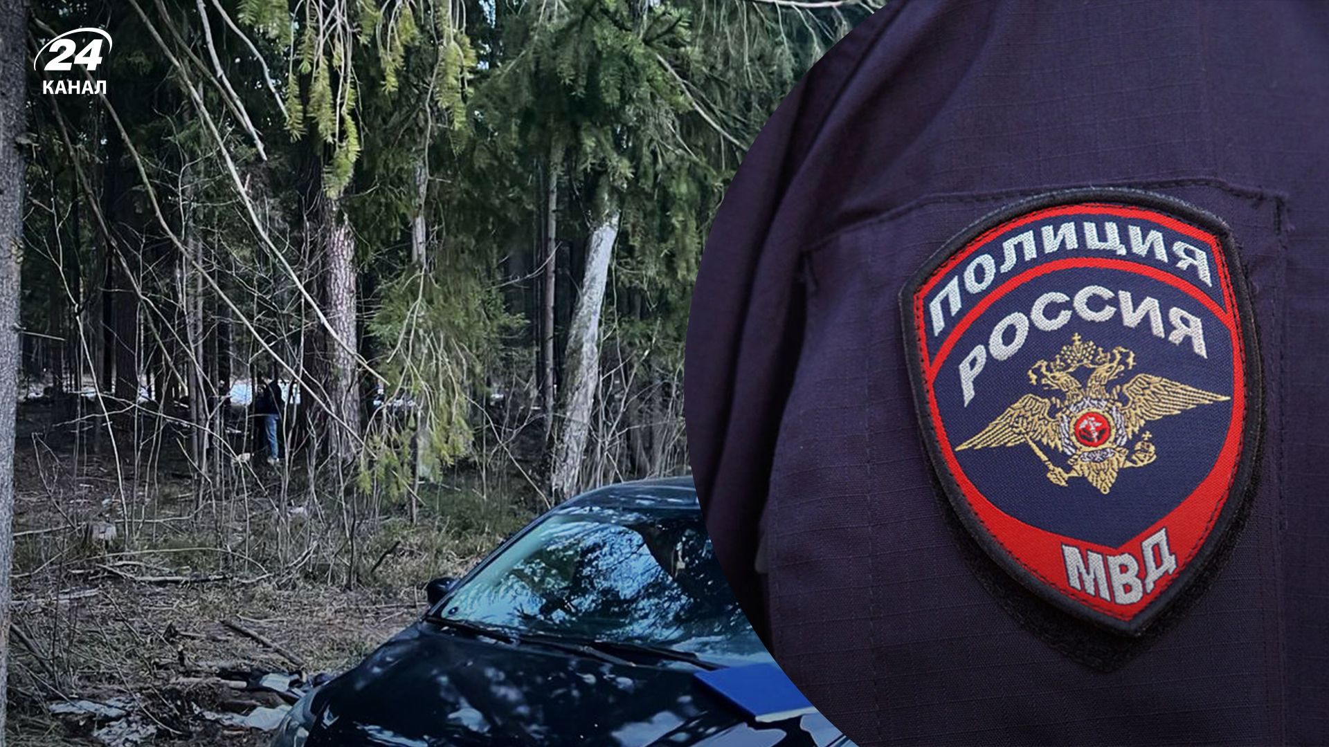 В Подмосковье неизвестные напали на 2 полицейских В Подмосковье неизвестные напали на 2 полицейских