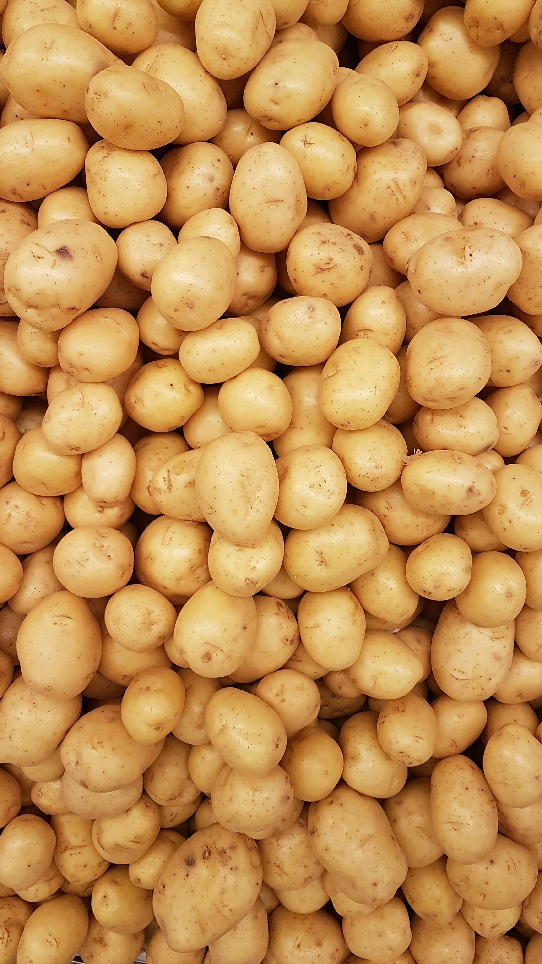 Не припустіться поширеної помилки: чи можна підсилювати картоплю селітрою