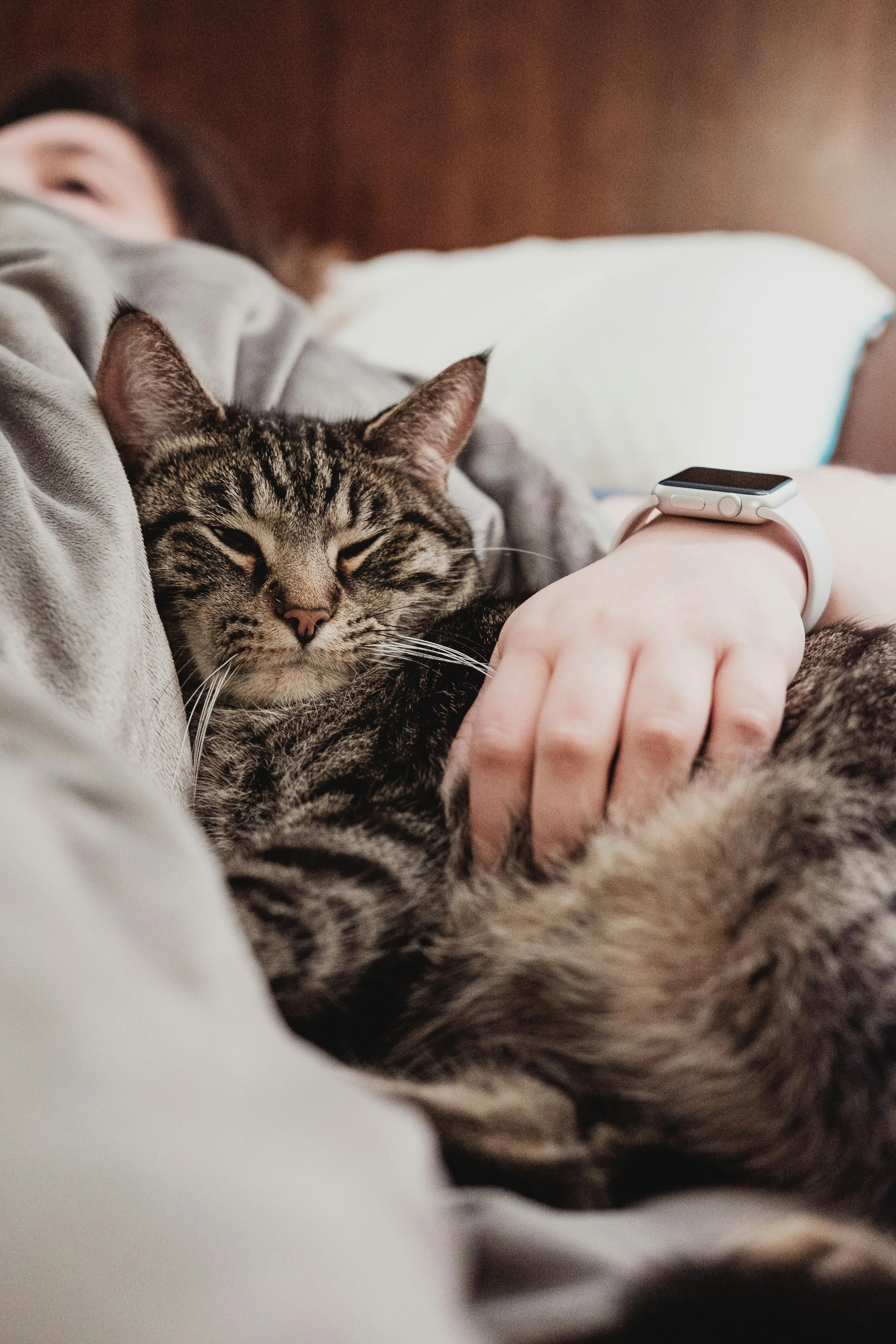 Стоит ли спать с собаками и котами