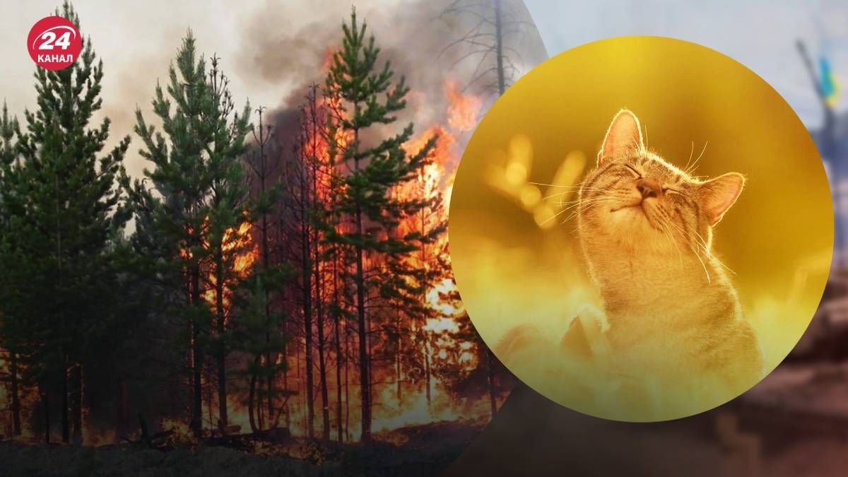 Для большей части Украины существует высокая угроза возникновения пожаров