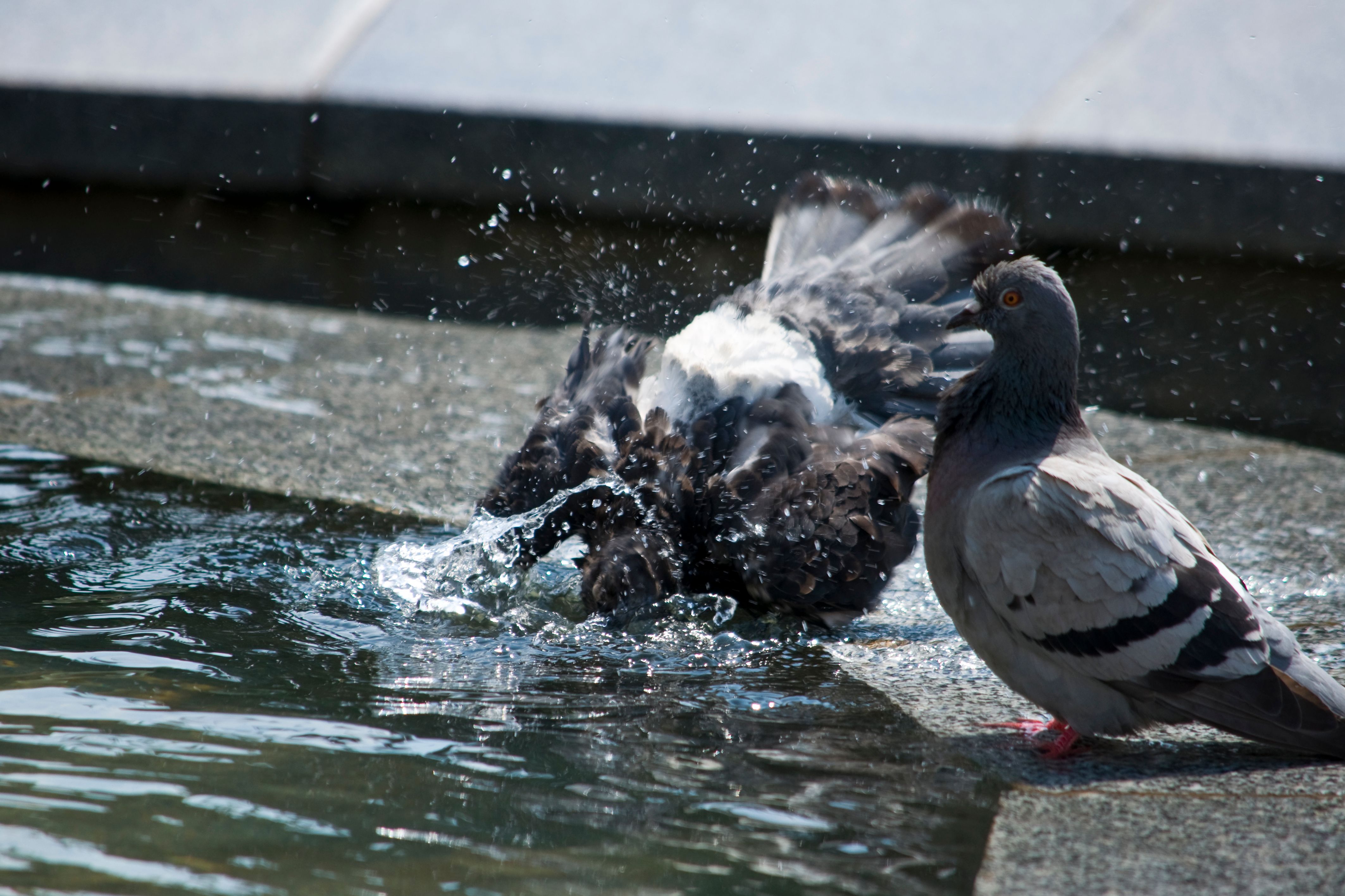 Погода на лето 2024 - 24 Канал Погода на лето 2024 - 24 Канал