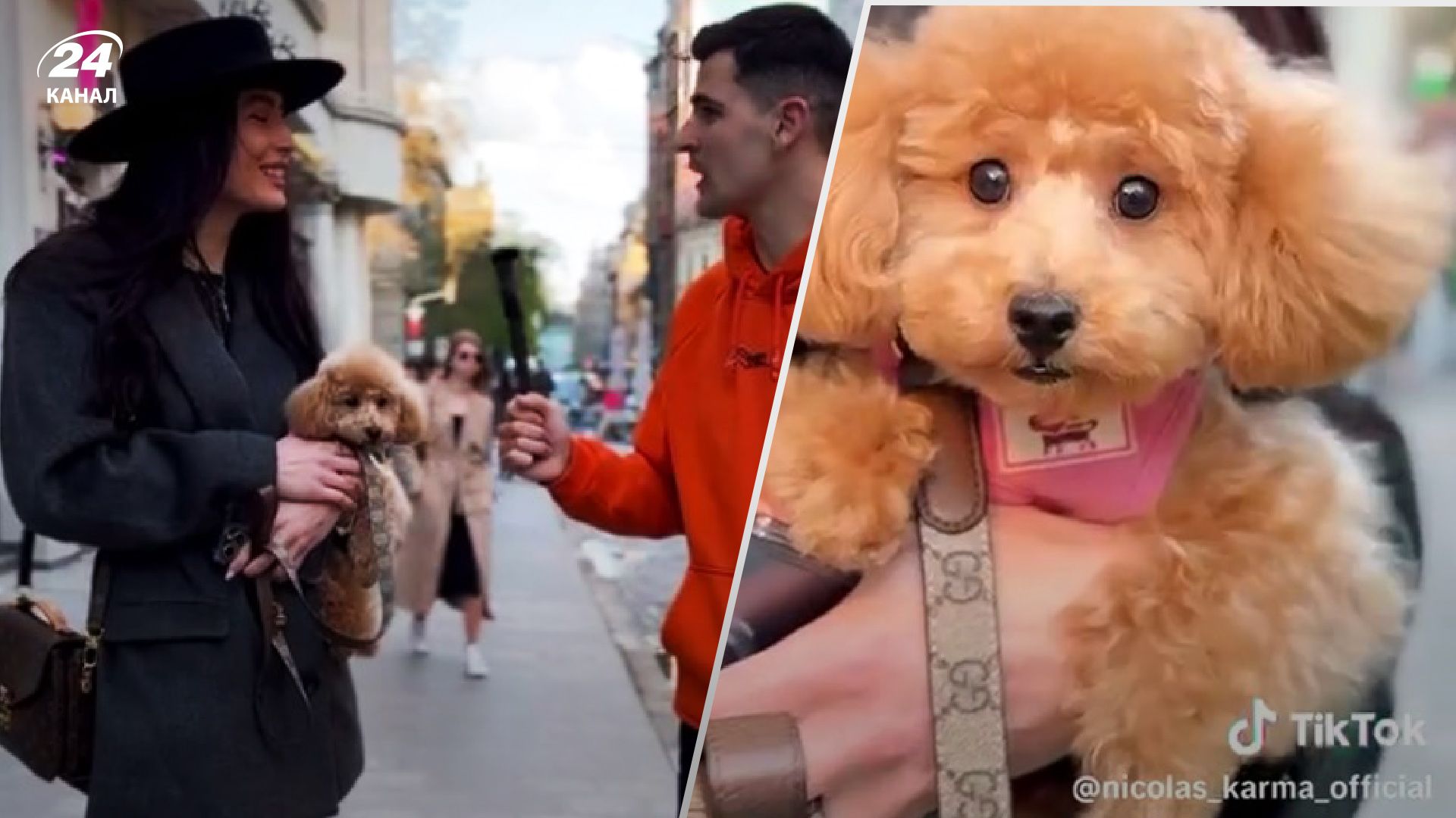 Инспектор львовской таможни показала лук за 8 тысяч Инспектор львовской таможни показала лук за 8 тысяч