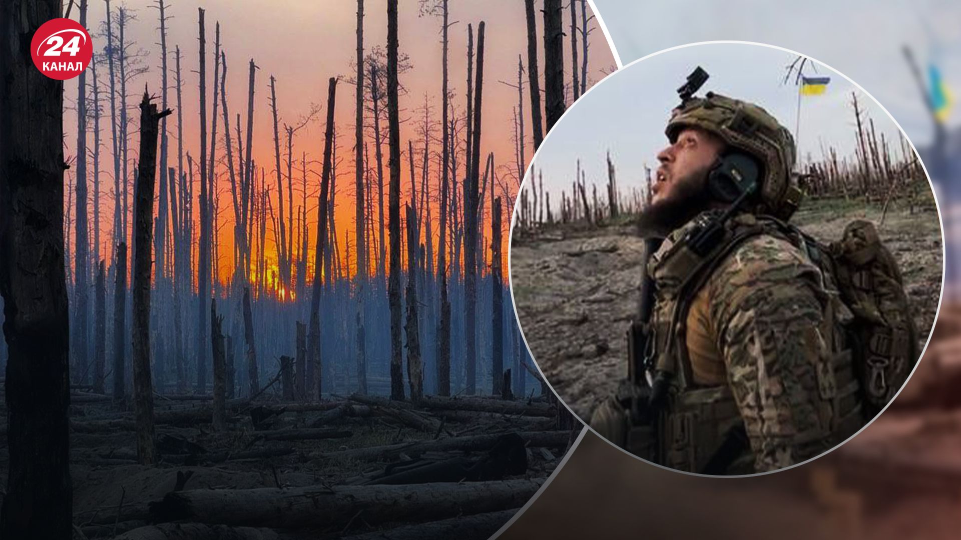 Как выглядит Серебрянский лес глазами наших защитников Как выглядит Серебрянский лес глазами наших защитников