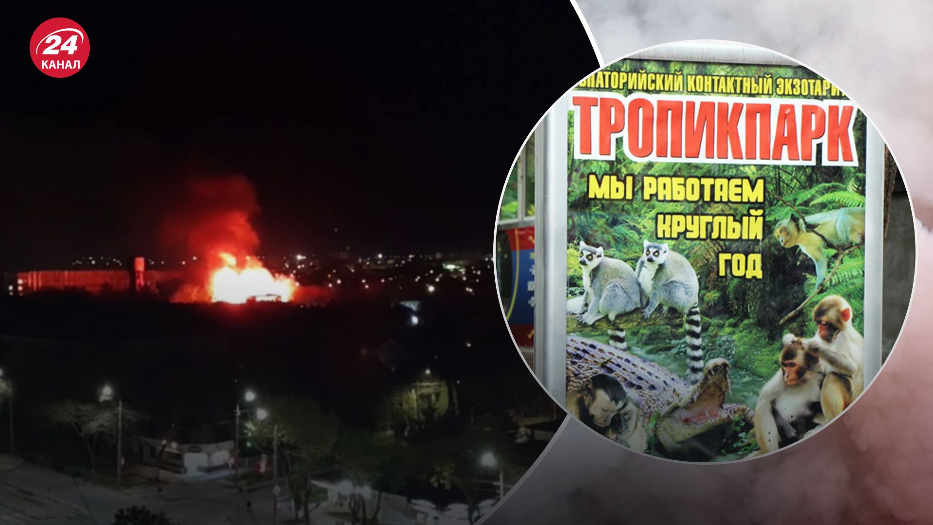 У Євпаторії згорів контактний зоопарк У Євпаторії згорів контактний зоопарк