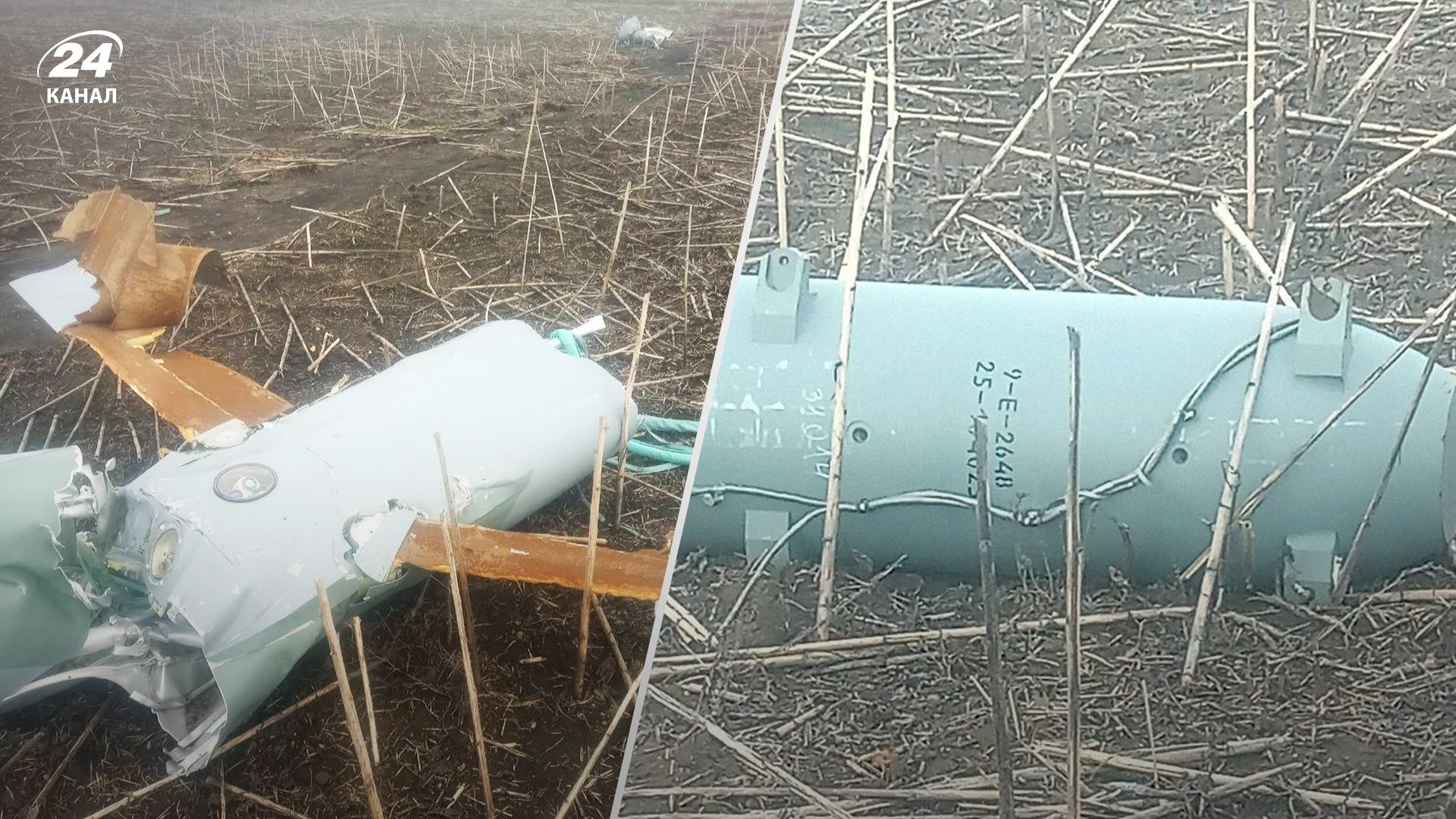 Російська ракета Х-101 впала у Волгоградській області 