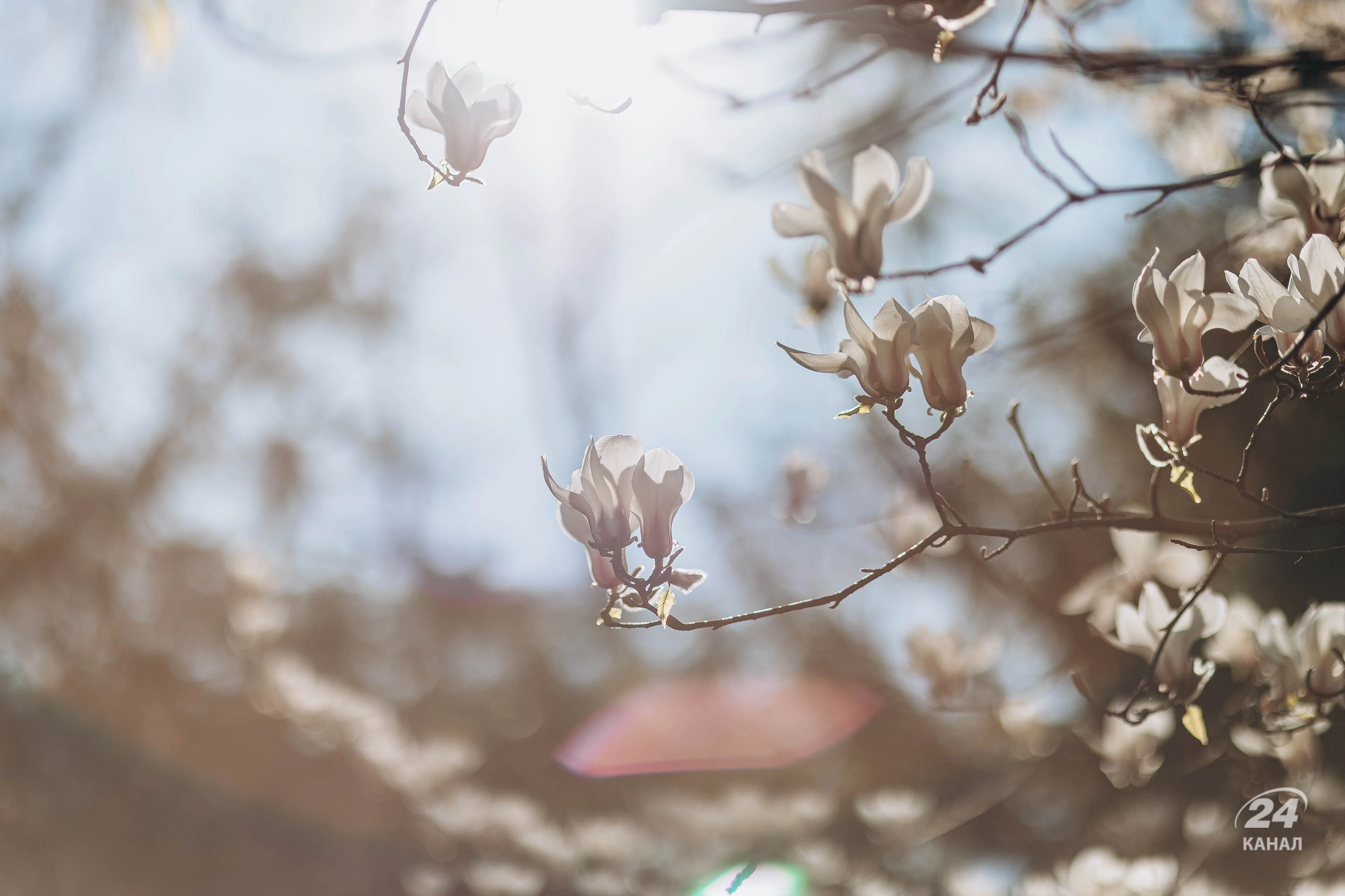 спека в Україні спека в Україні