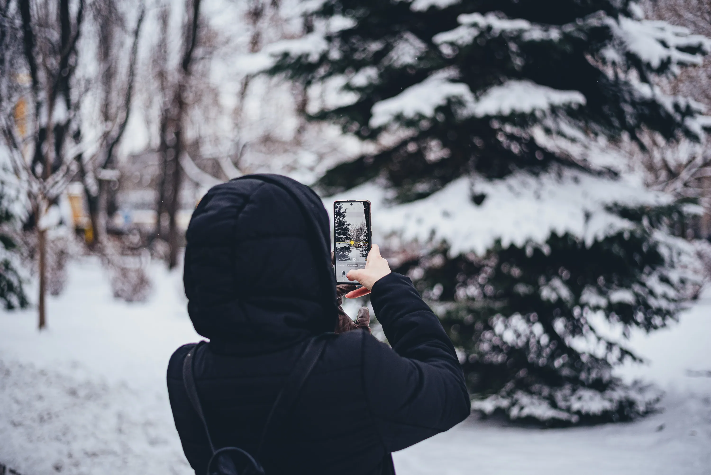 сніг в Україні