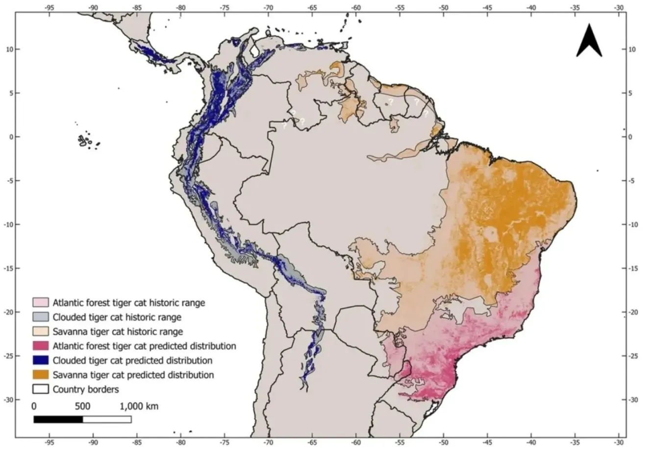 Карта Южной Америки, показывающая историческое и прогнозируемое нынешнее распространение трех видов тигровых кошек 